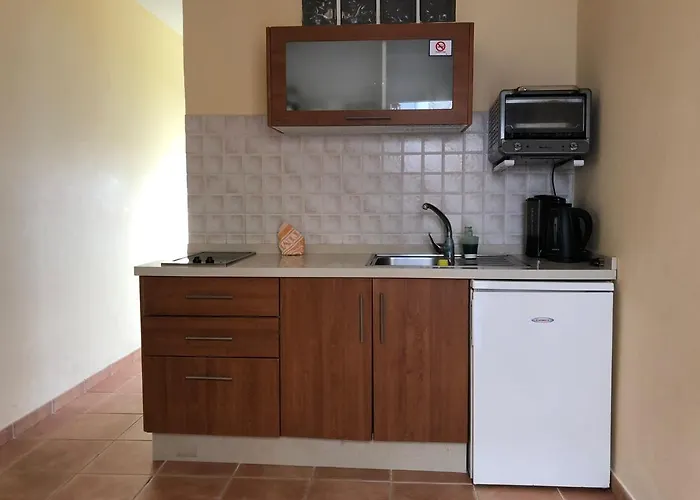Apartamentos Concha